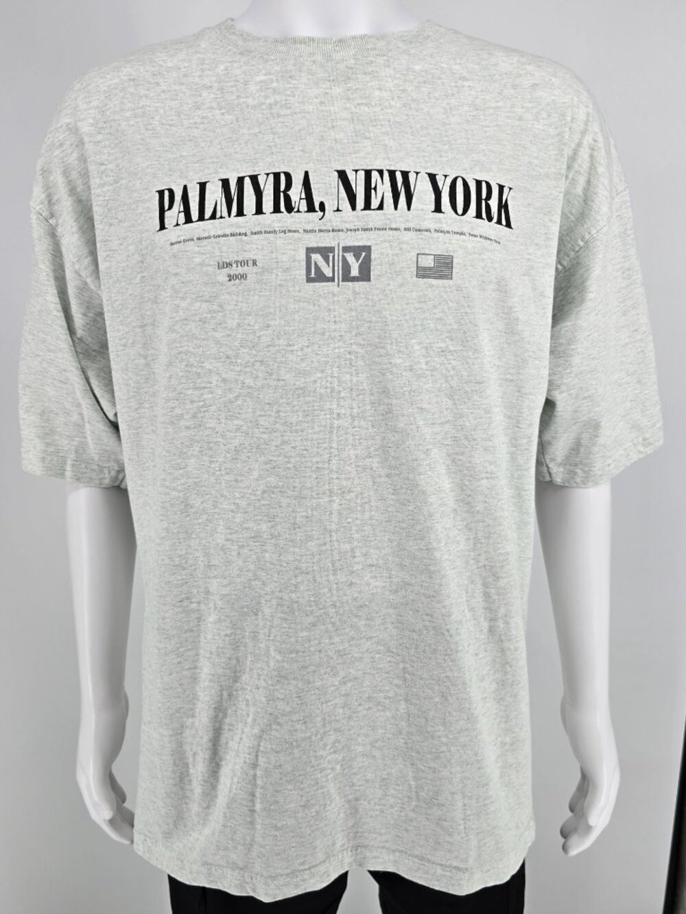 Vintage Y2K Palmyra, New York LDS Tour 2000 Latter-Day Saints Gray T-Shirt (XXL)